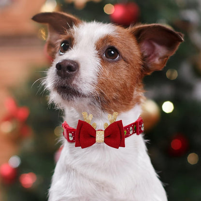 Christmas Dog Collar 